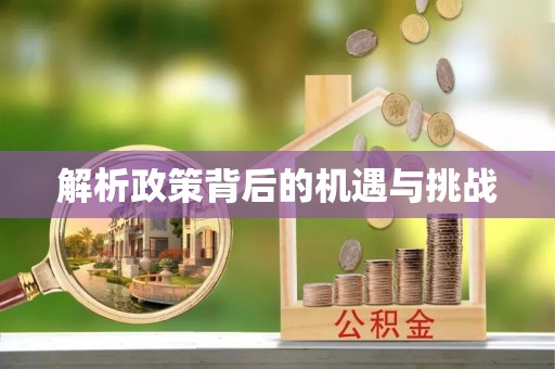 南州解析政策背后的机遇与挑战