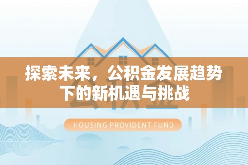南州探索未来，公积金发展趋势下的新机遇与挑战