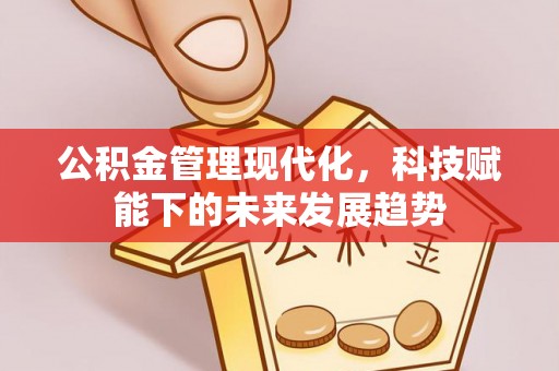 南州公积金管理现代化，科技赋能下的未来发展趋势