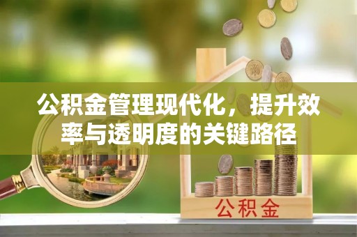 南州公积金管理现代化，提升效率与透明度的关键路径