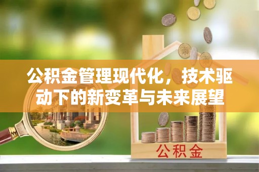 南州公积金管理现代化，技术驱动下的新变革与未来展望