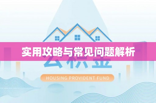 南州实用攻略与常见问题解析