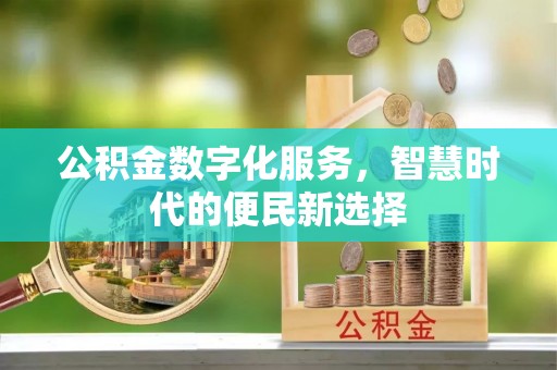 南州公积金数字化服务，智慧时代的便民新选择
