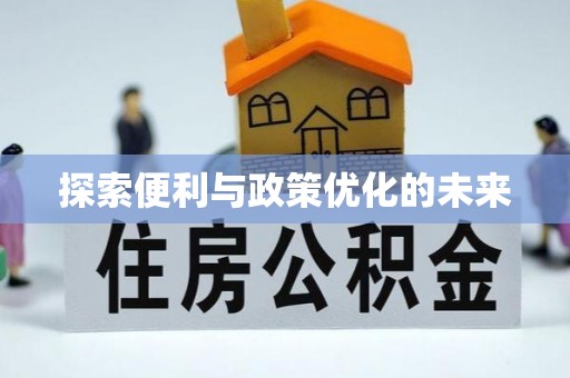 南州探索便利与政策优化的未来