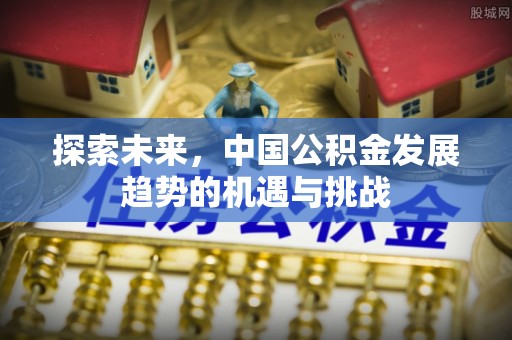 南州探索未来，中国公积金发展趋势的机遇与挑战