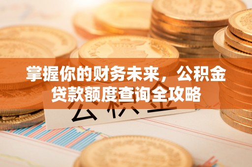 南州掌握你的财务未来，公积金贷款额度查询全攻略