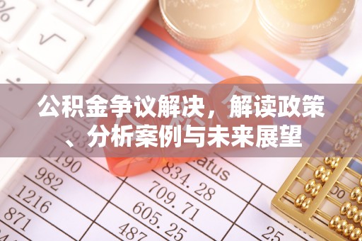 南州公积金争议解决，解读政策、分析案例与未来展望