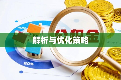 南州解析与优化策略